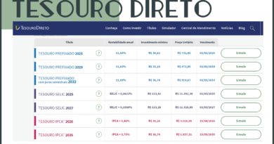 tesouro direto e os títulos públicos federais